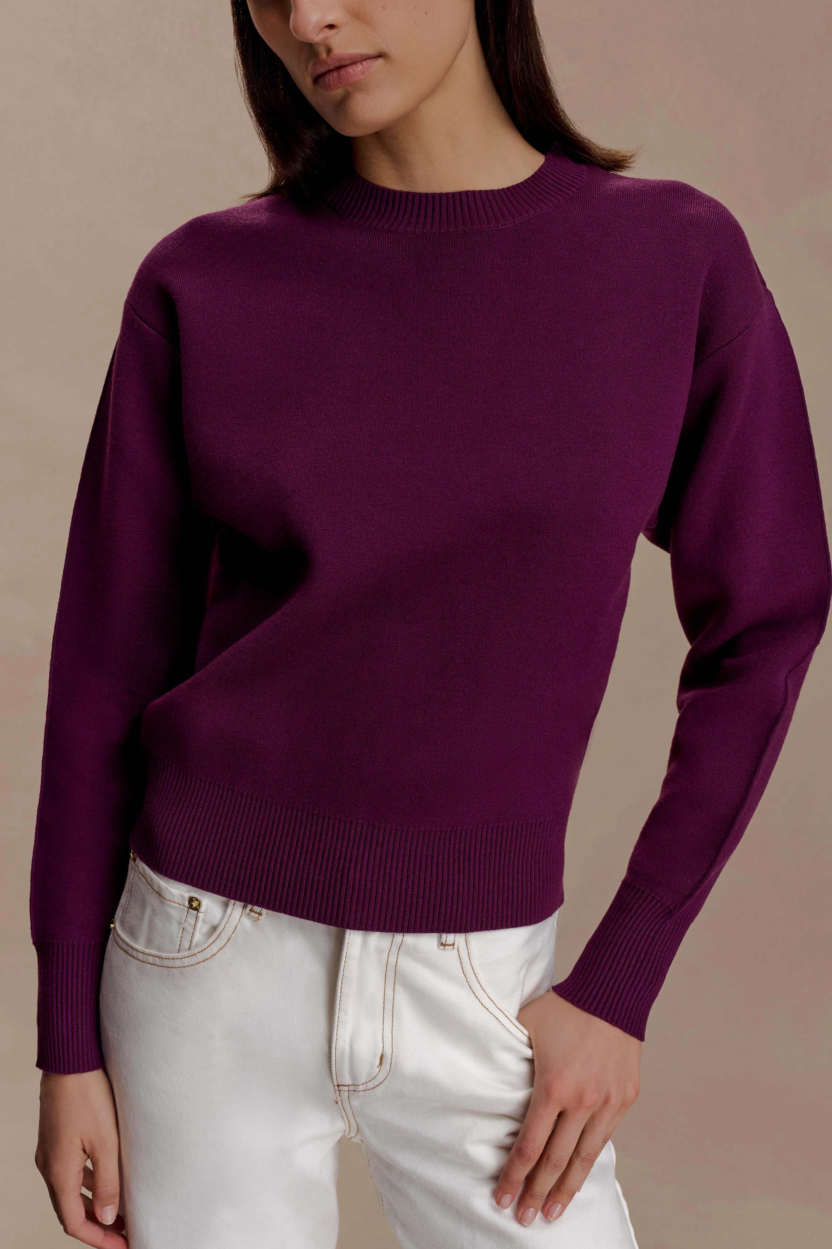 Braxton Cozy Knit Jumper - Plum Seamless Stitching Essential Casual Look