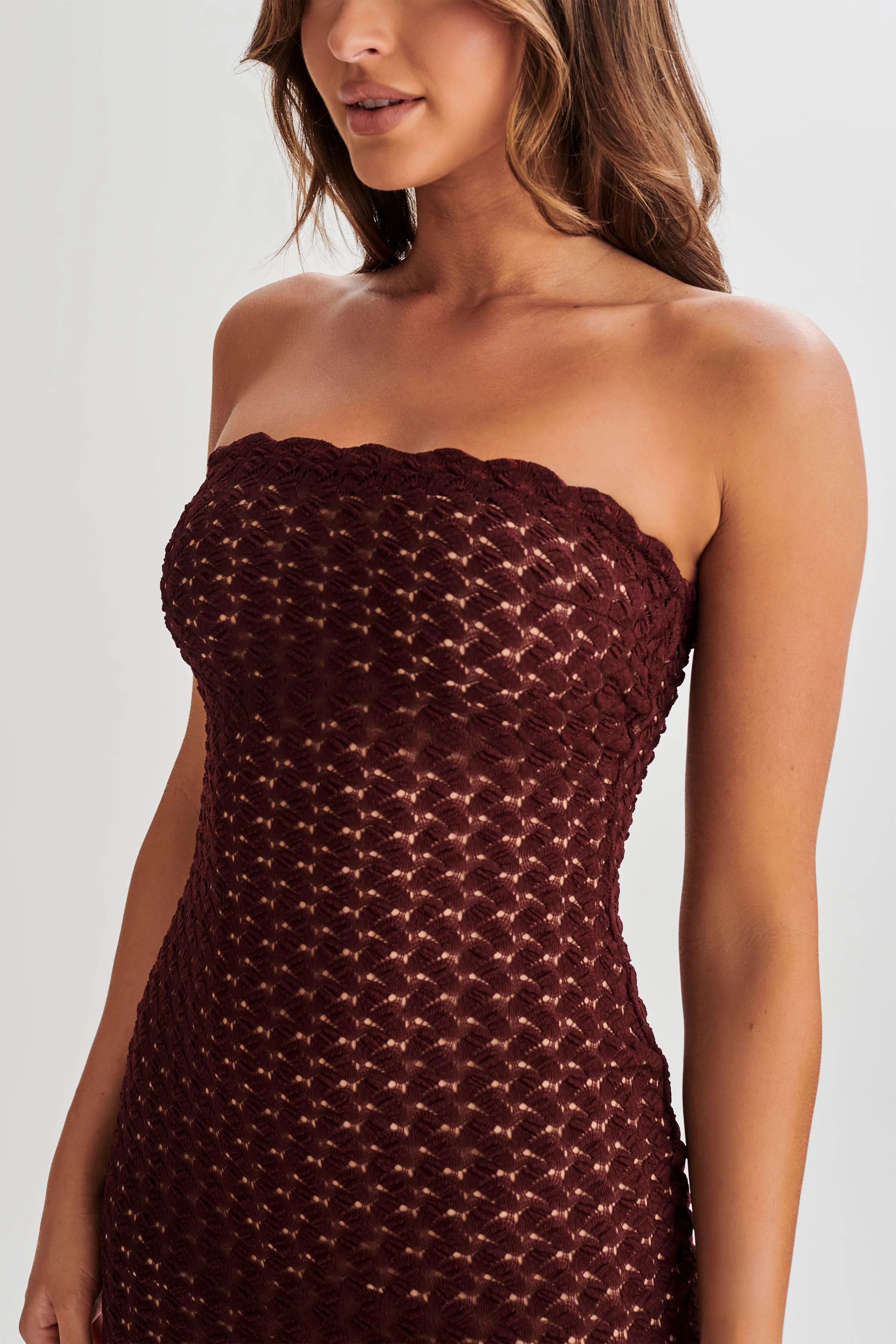Daily Go Decorative-Design Amadea Lace Mini Dress - Plum