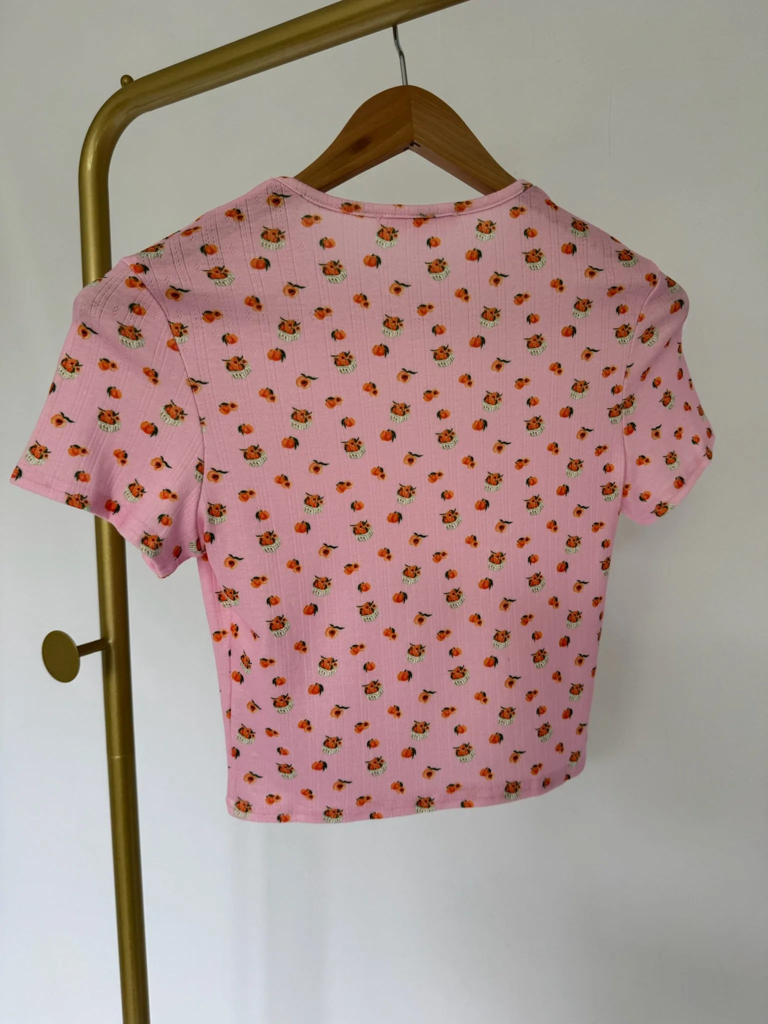 BASKET OF PEACHES Tee Quick-Drying Shirt Breathable Comfort