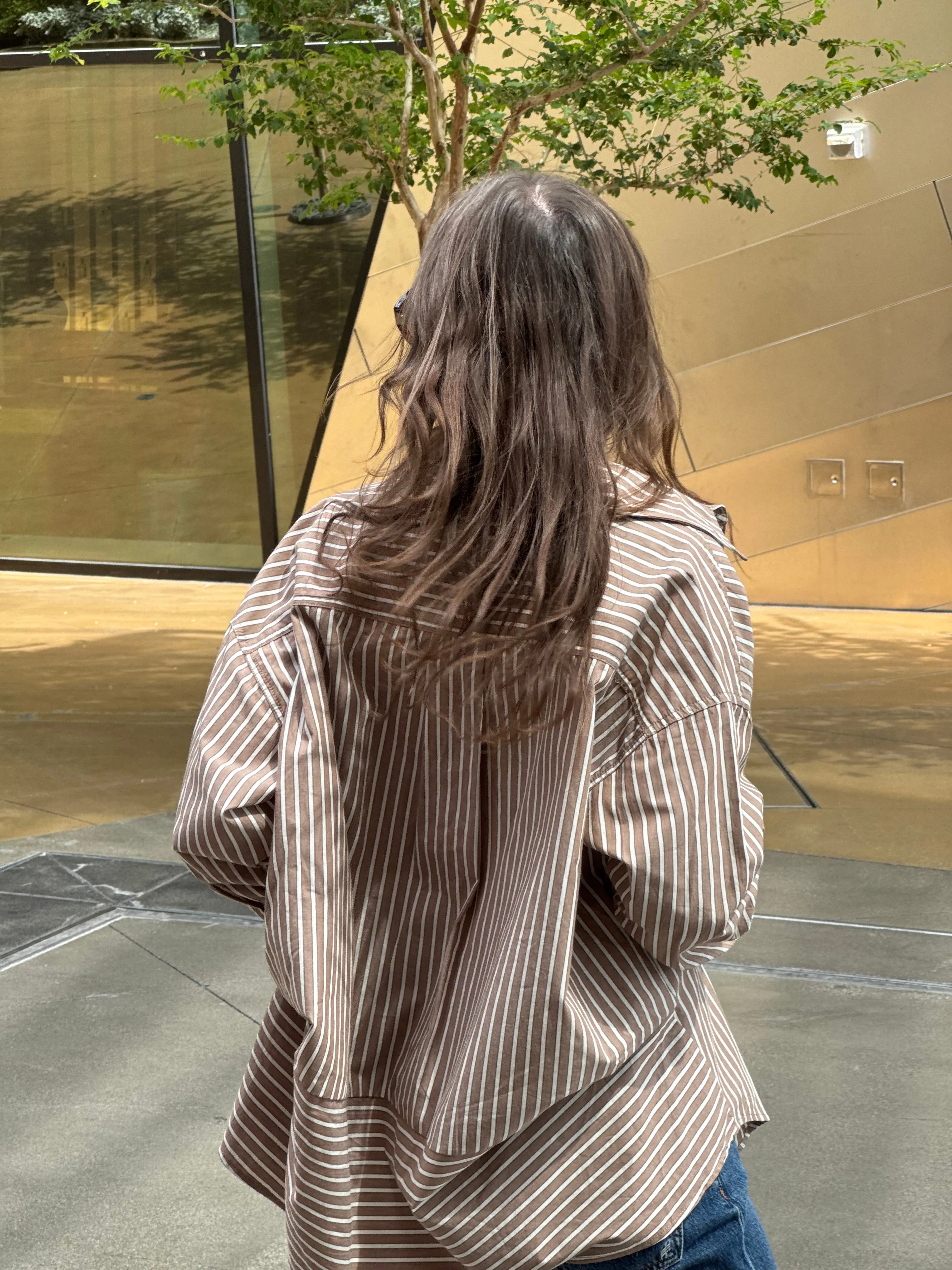 Metallic Finish BUSINESS CLASS Shirt