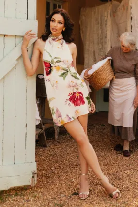 Dress for brunch Stylish Line Lynelle High Neck Mini Dress - Bella Rosa Print