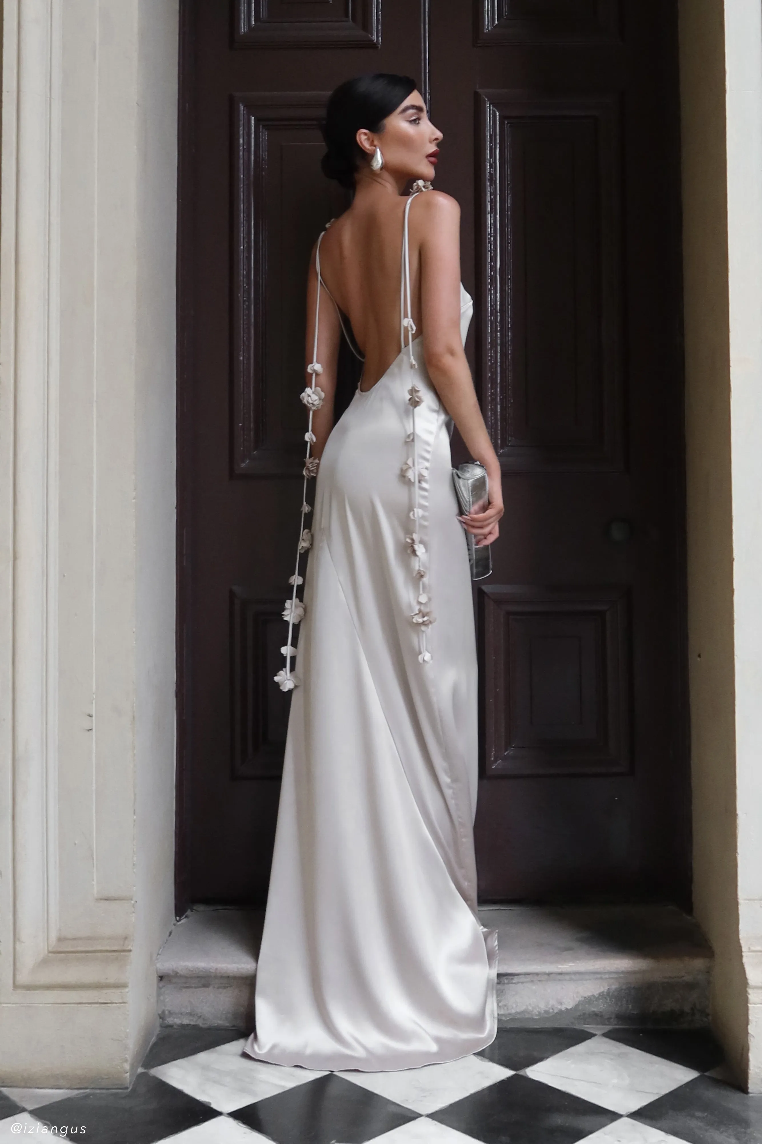 Soft Pleats Elenora Rose Gown - Blush Gold