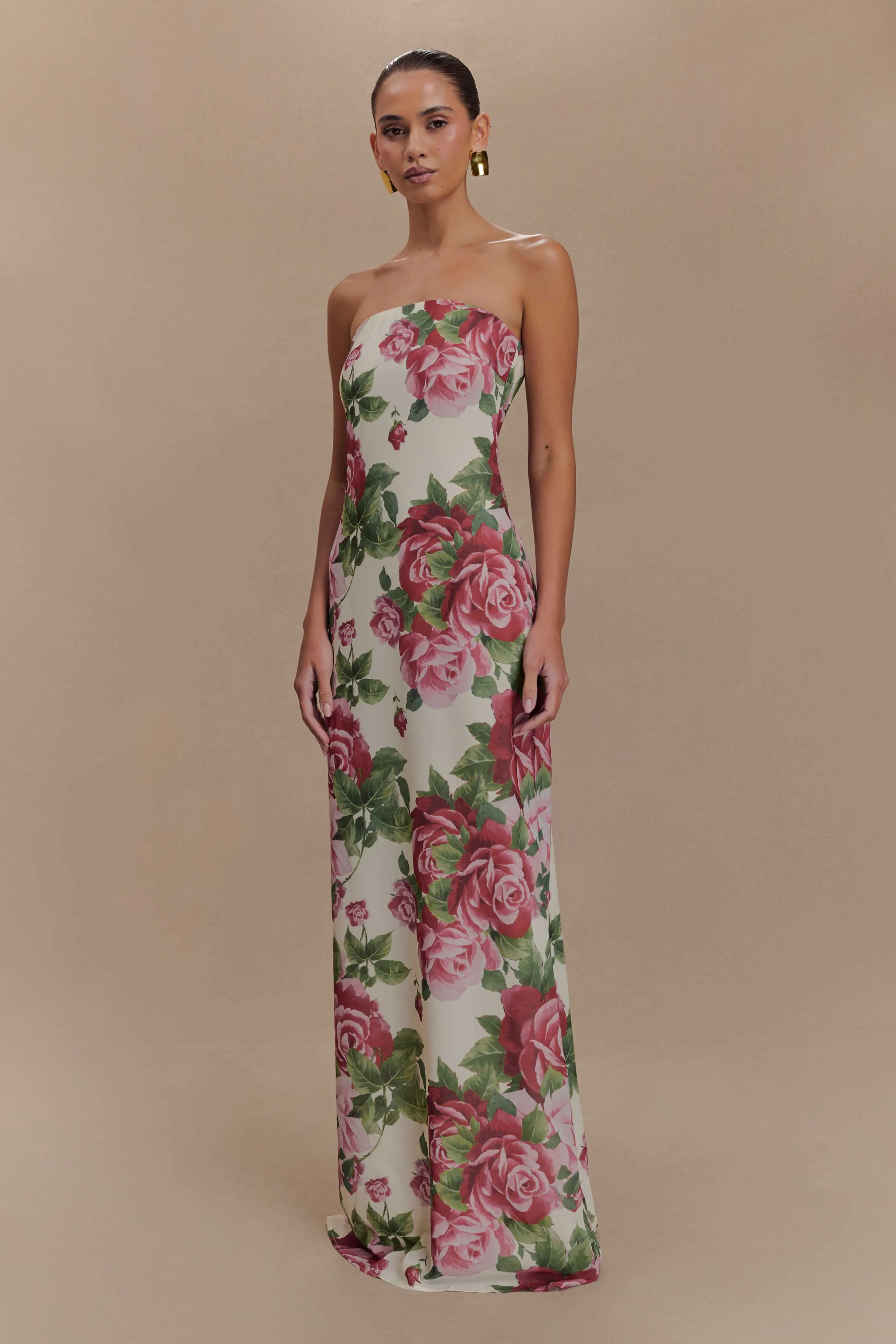 Fresh Color Ella Strapless Chiffon Maxi Dress - Sonia Rose Print