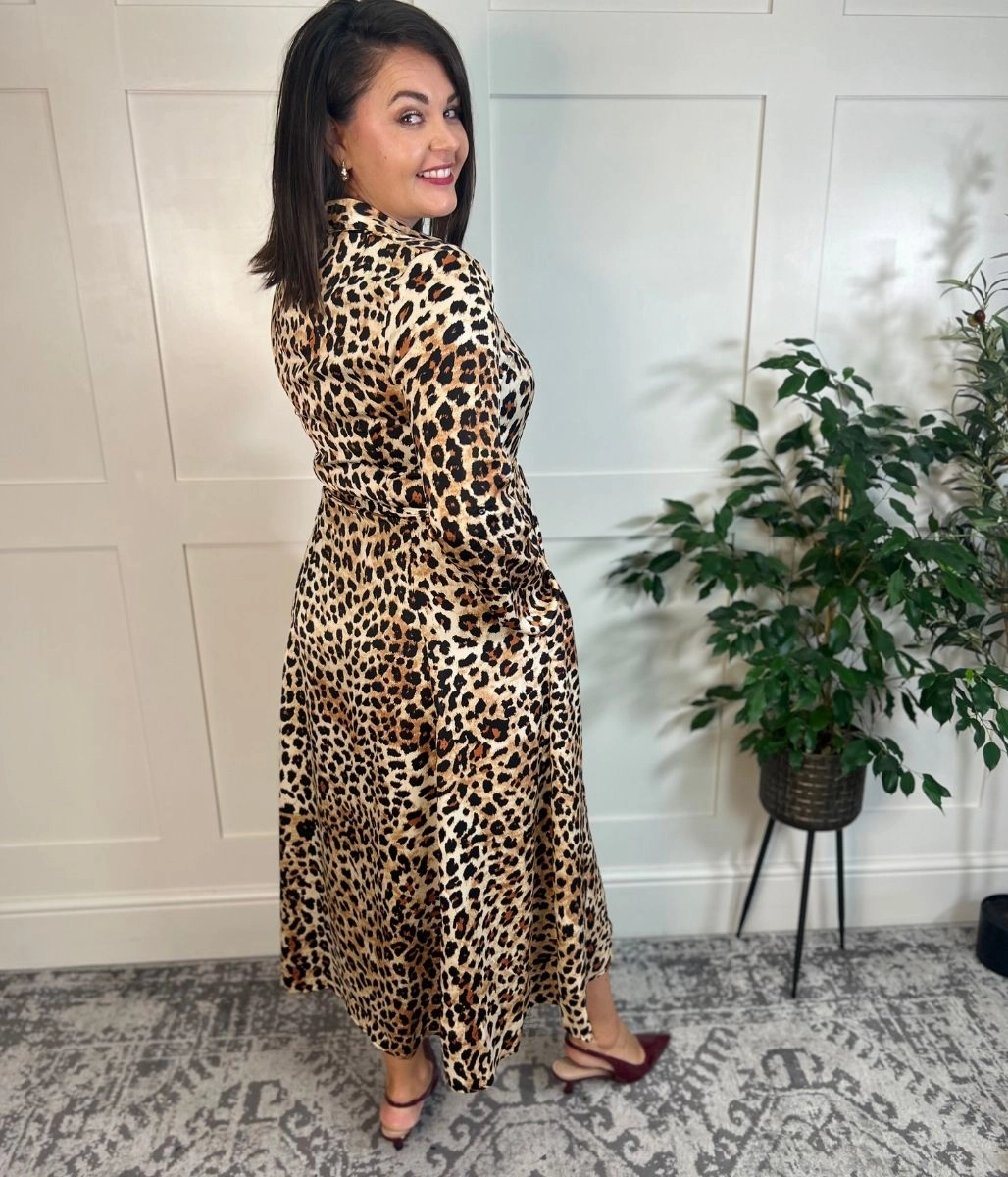 Lola Leopard Print Satin Shirt Dress Indoor Event