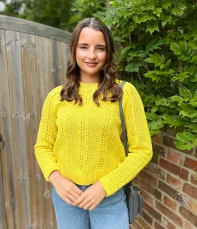 Perfect Fit Mustard Cotton Blend Textured Jumper